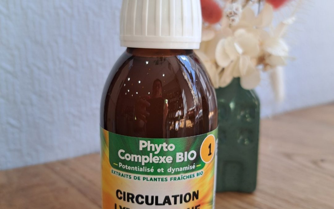Circulation lymphatique